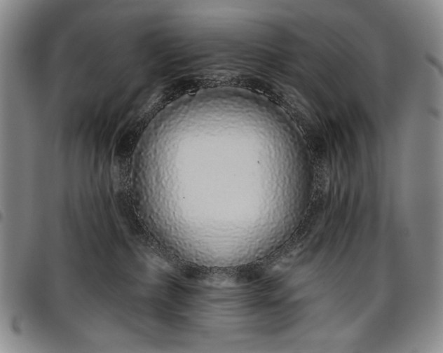 X0000096630236200802191204