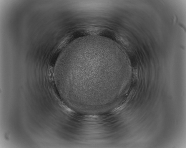 X0000096630237200802191204