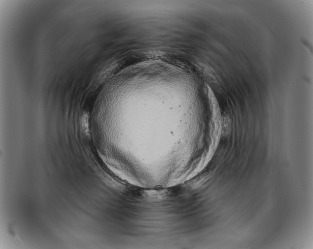 X0000096630238200802191204