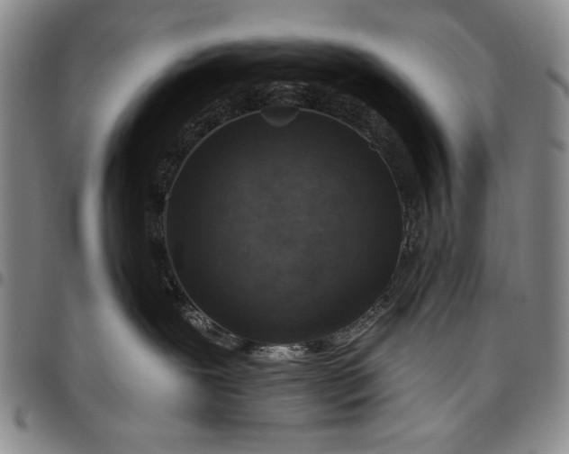 X0000096630239200802191204