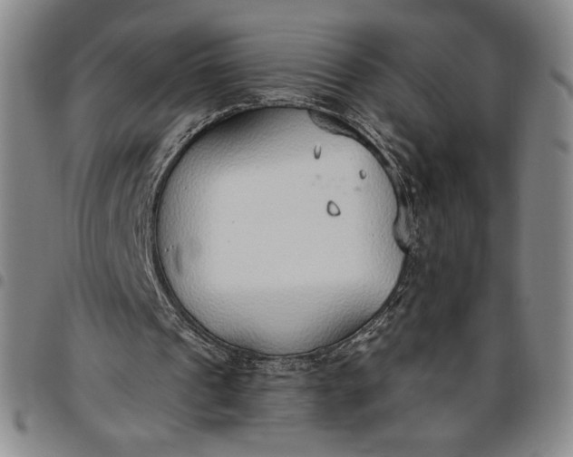 X0000096630241200802191203