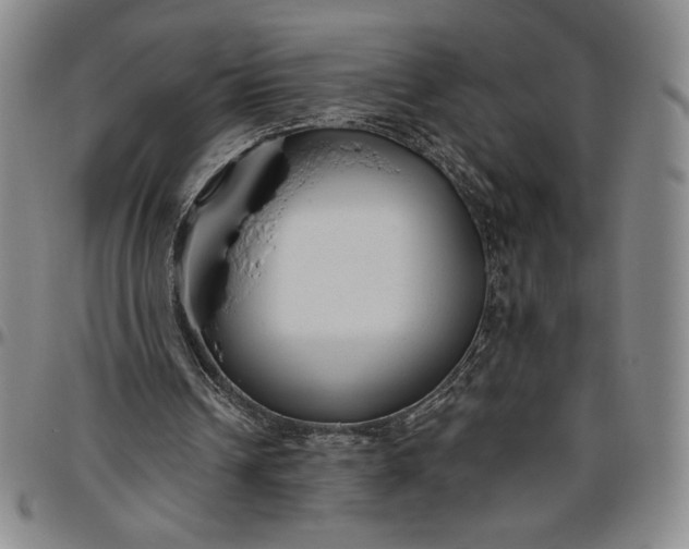 X0000096630242200802191203