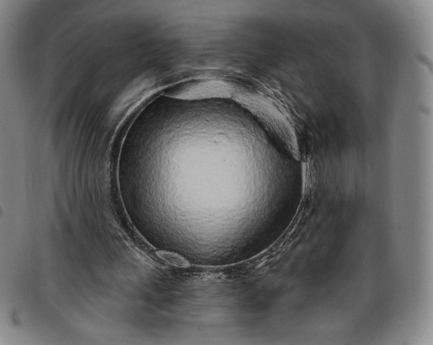 X0000096630243200802191203