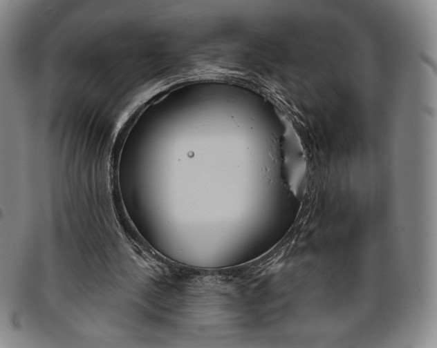 X0000096630244200802191203