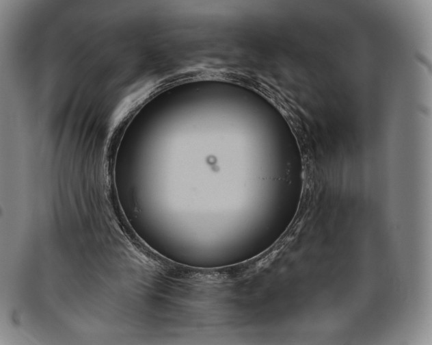 X0000096630245200802191203