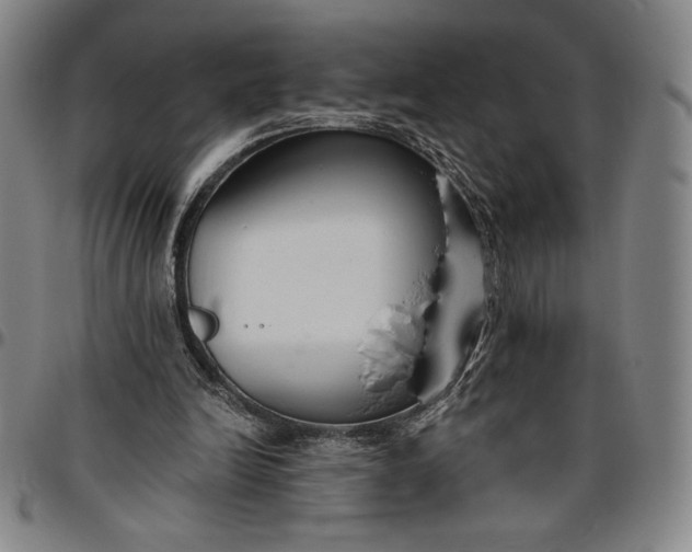 X0000096630246200802191203