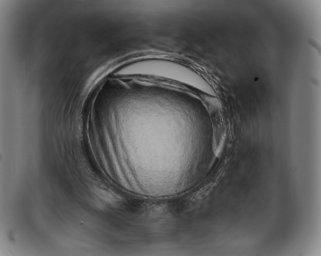 X0000096630247200802191203