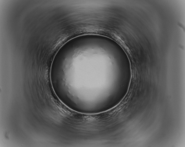 X0000096630249200802191203