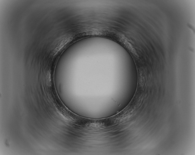 X0000096630251200802191203