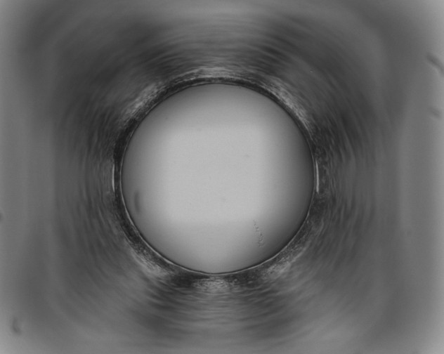 X0000096630253200802191203