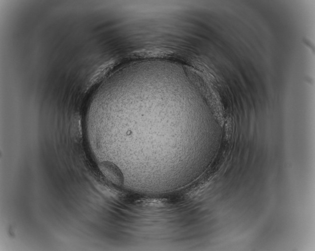 X0000096630254200802191203