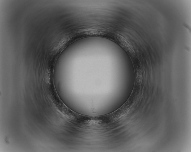 X0000096630255200802191203