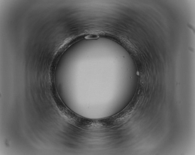 X0000096630256200802191203
