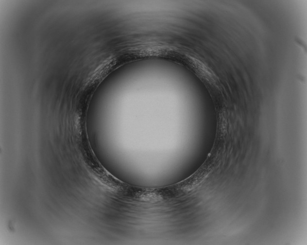 X0000096630258200802191203