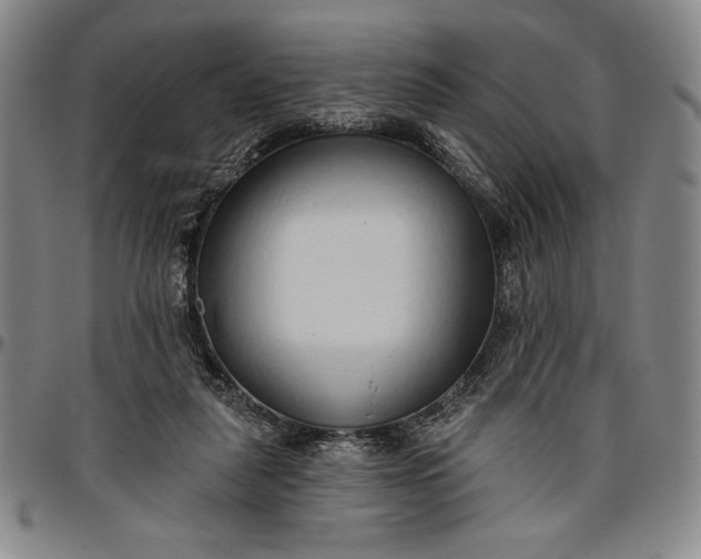 X0000096630259200802191203