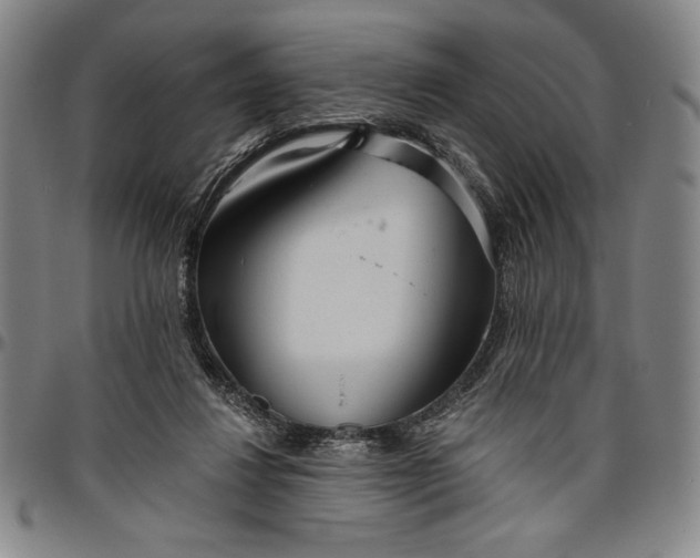 X0000096630260200802191203