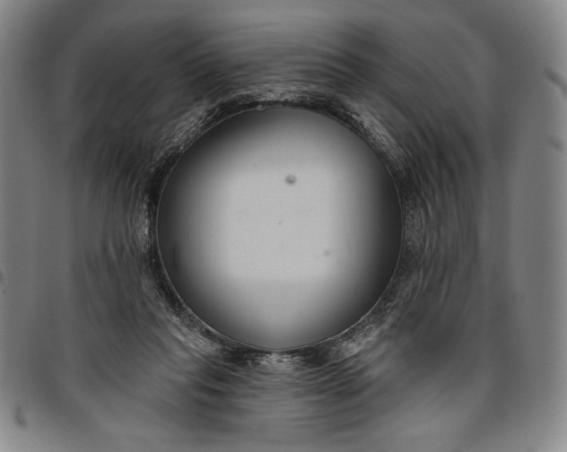 X0000096630261200802191203
