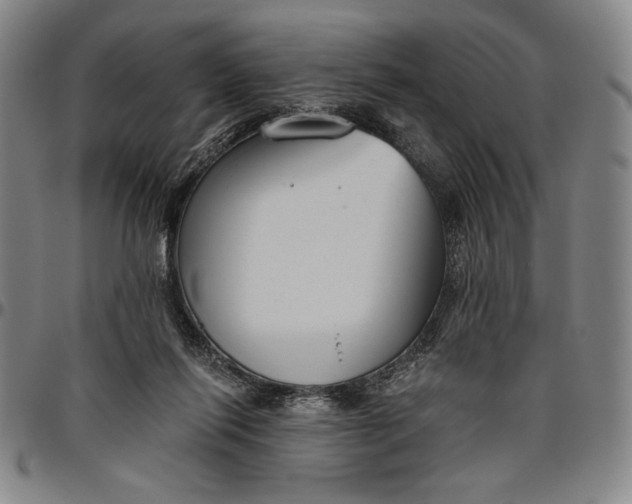 X0000096630262200802191203