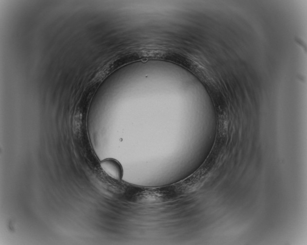X0000096630263200802191203