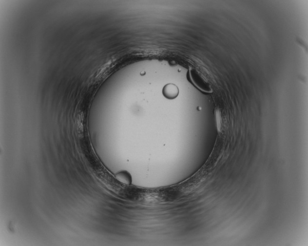 X0000096630264200802191203