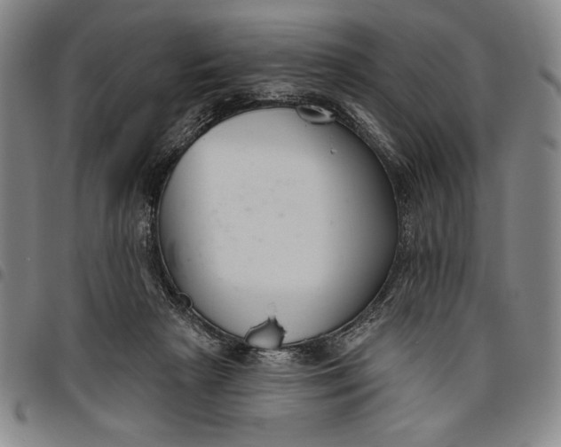 X0000096630265200802191203
