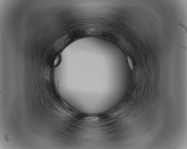X0000096630266200802191203