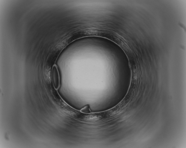 X0000096630267200802191203