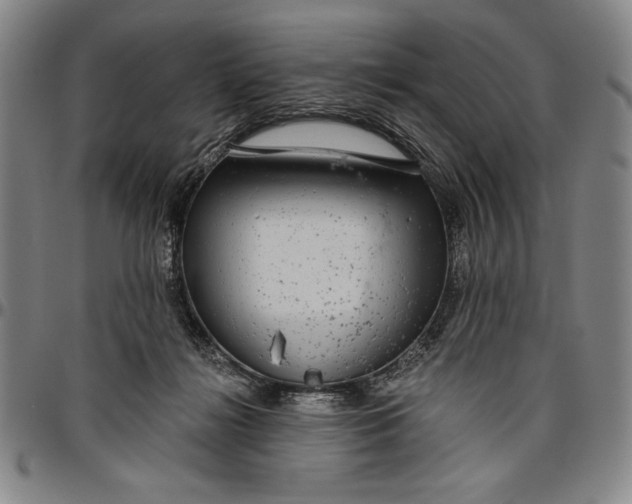 X0000096630268200802191204