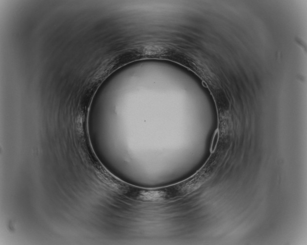 X0000096630269200802191204