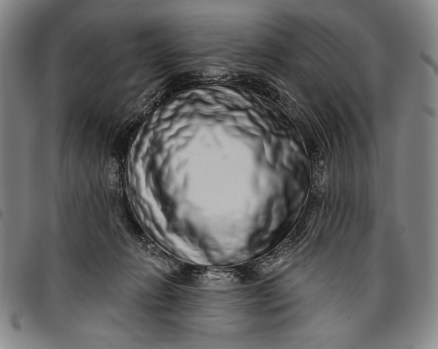 X0000096630270200802191204