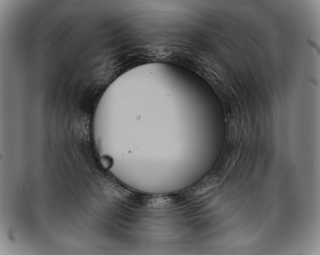 X0000096630274200802191204