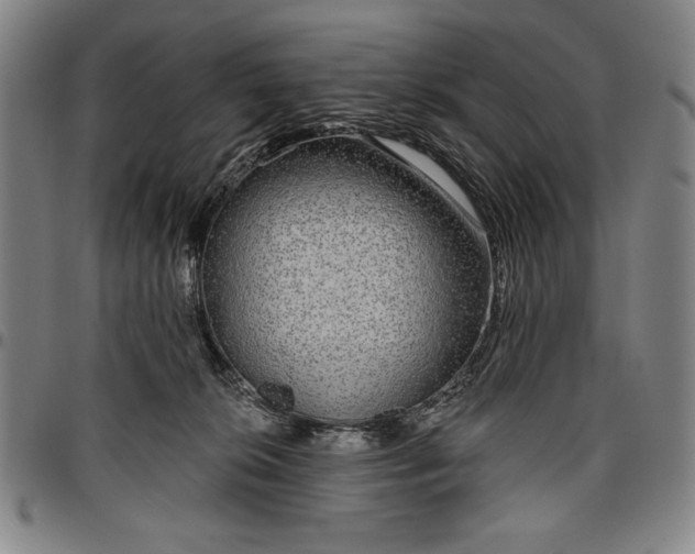 X0000096630276200802191204