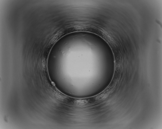X0000096630277200802191204