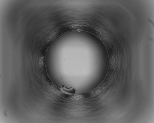 X0000096630278200802191204