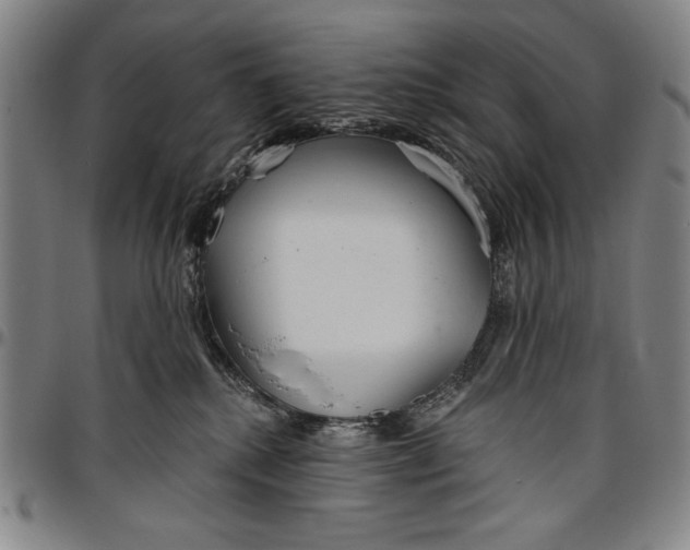 X0000096630280200802191204