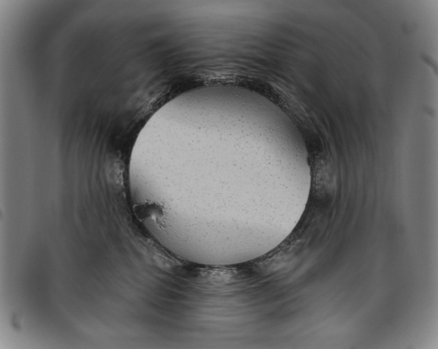 X0000096630282200802191204