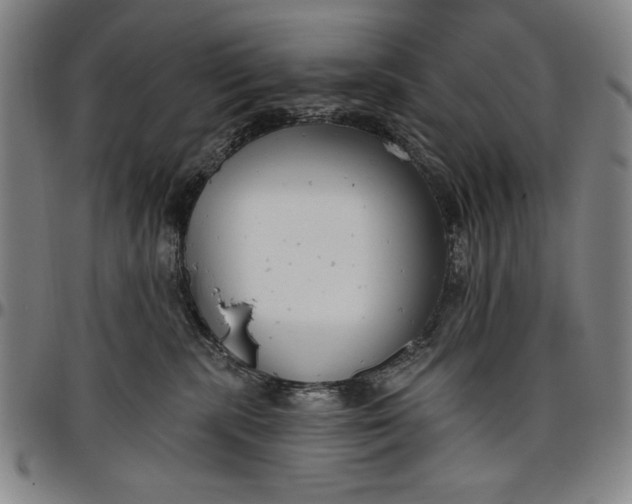 X0000096630283200802191204