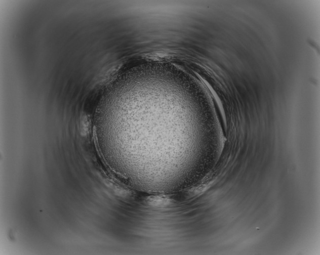 X0000096630284200802191204