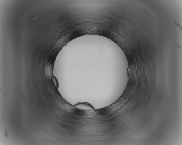 X0000096630287200802191204