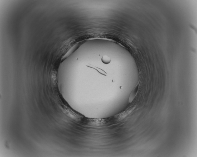 X0000096630288200802191204