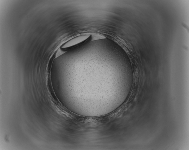 X0000096630290200802191203