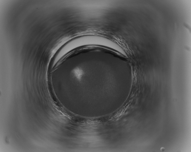 X0000096630292200802191203