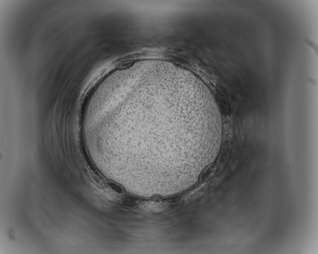 X0000096630293200802191203
