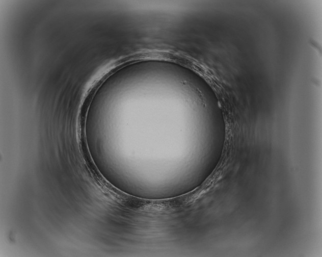 X0000096630294200802191203