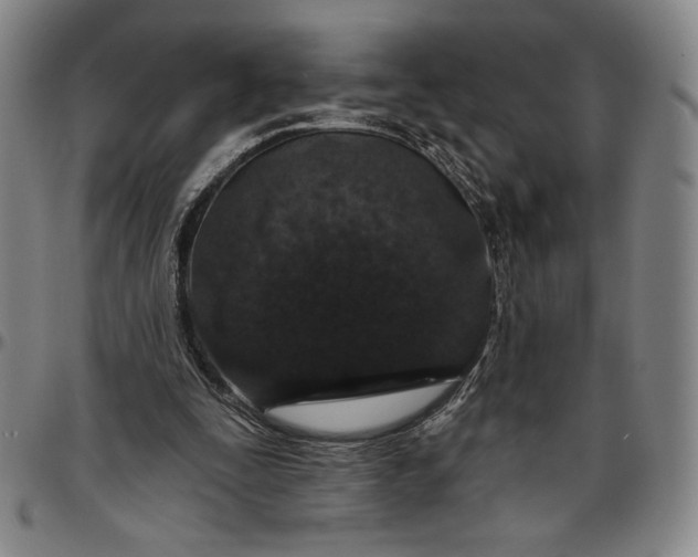 X0000096630295200802191203