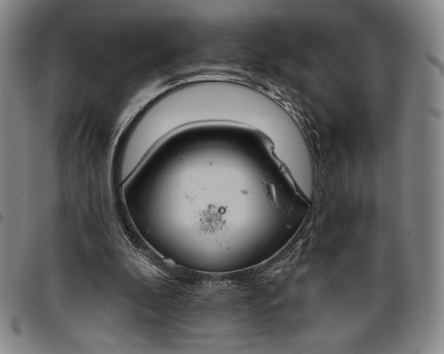 X0000096630296200802191203