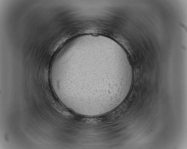 X0000096630297200802191203