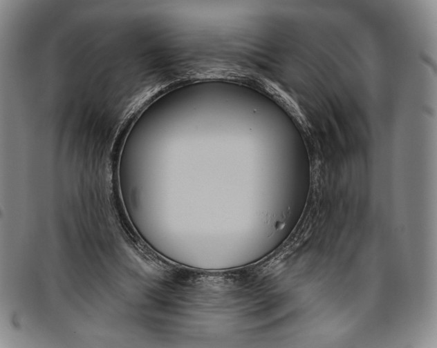 X0000096630298200802191203