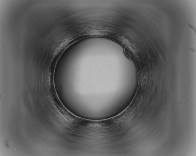 X0000096630299200802191203