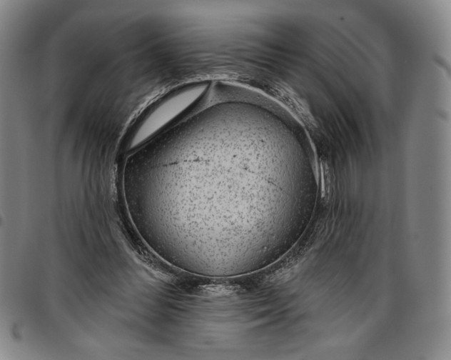 X0000096630300200802191203